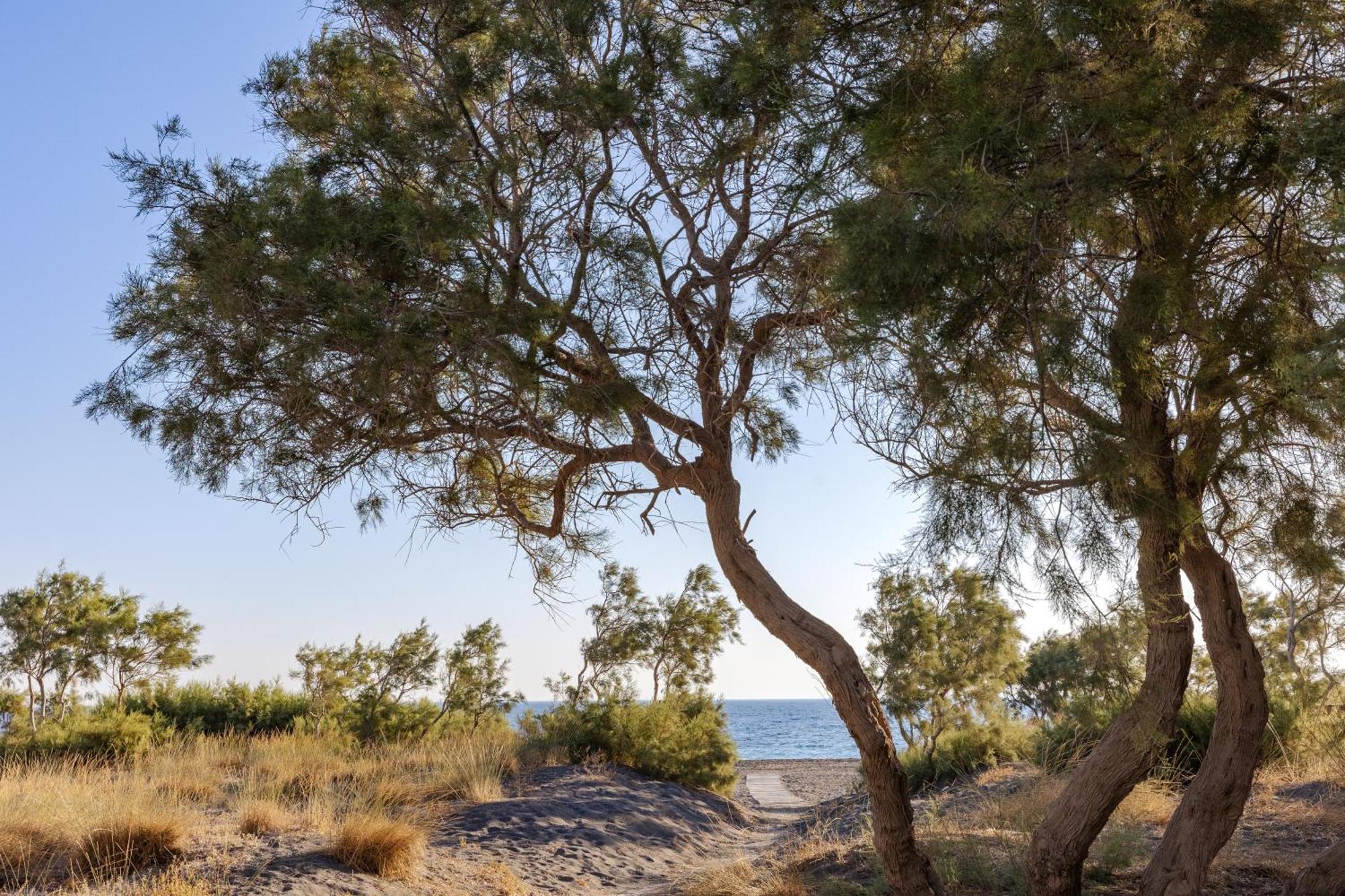Scorpios Beach Monólithos Dış mekan fotoğraf
